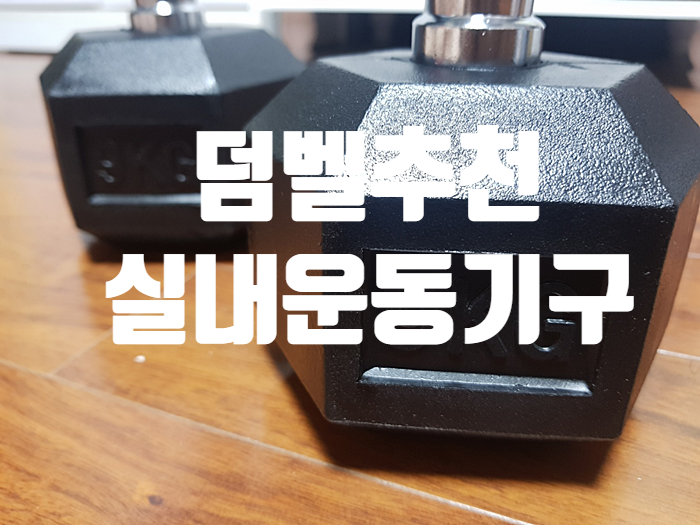 실내운동기구로 덤벨추천 (feat.헬스장갑)