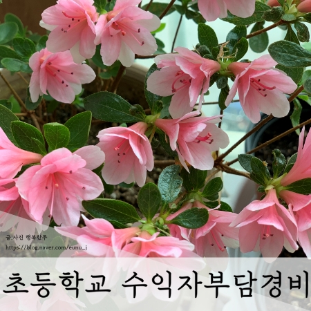  초등학교 수익자부담경비 신용카드 자동납부 신청