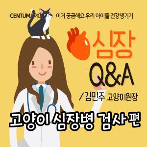  [심장Q&A] 고양이 심장병 검사 편 (부산 심장진료 전문 동물병원 센텀동물메디컬센터 고양이원장 김민주)