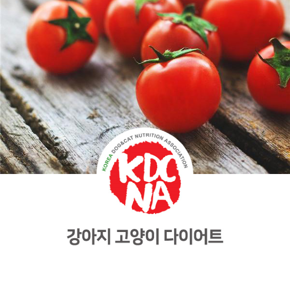  [펫영양사/한국반려동물영양협회/전주/펫푸드자격증/군산/강릉/제주/부산/충주/애견수제간식] 반려밥상이 알려주는 다이어트에 유용한 음식과 식재료_764