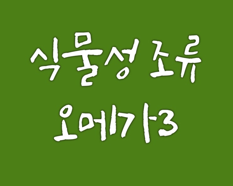  비린 맛이 싫으시다고요? 식물성 오메가3가 답이랍니다.
