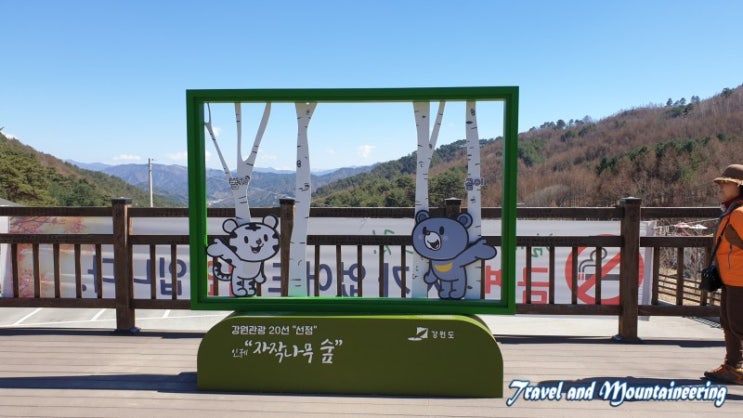  따뜻한 봄날 인제 자작나무 숲 - 박인환 문학관 - 산촌민속예술관을 둘러 보고.