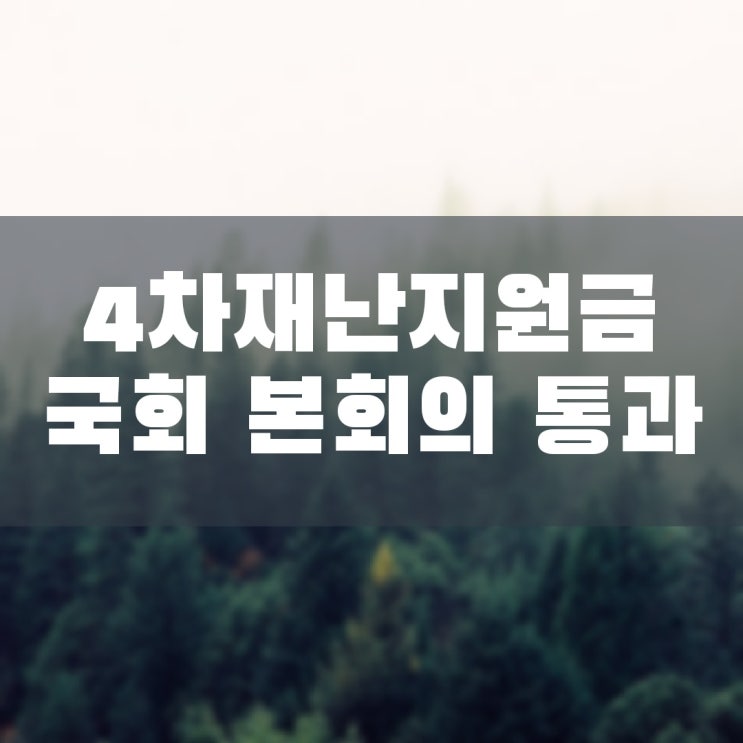  4차 재난지원금 소상공인 버팀목자금 플러스 국회 본회의 통과 여행사 300만 원