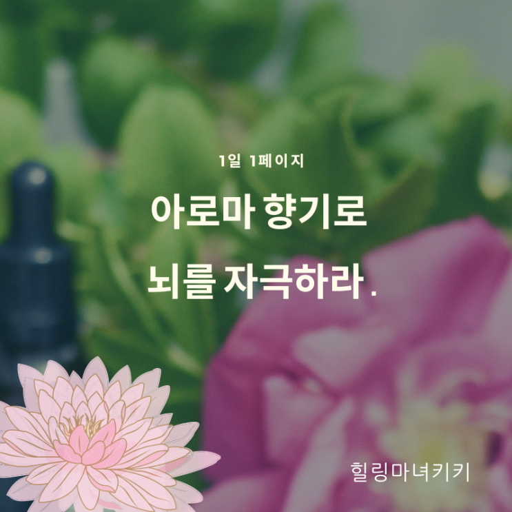  1일1페이지 ㅡ 05일 아로마 향기로 뇌를 자극하라