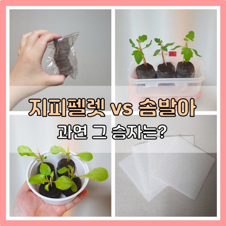  지피펠렛 vs 솜발아 (사용 방법부터 비교 후기까지! )