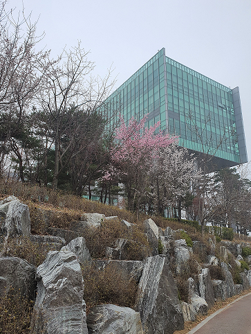  아침 산책길!! 만보 달성~ 10Km