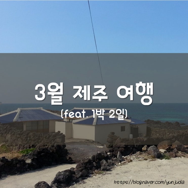 [제주도] 1박 2일 제주먹방투어 - 선녀와 나무꾼 테마파크, 제주시 맛집 골막식당, 해녀촌