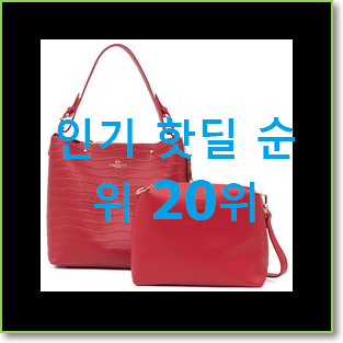  고민끝에 선택 롱샴가방 사는곳 공유 인기 목록 랭킹 20위