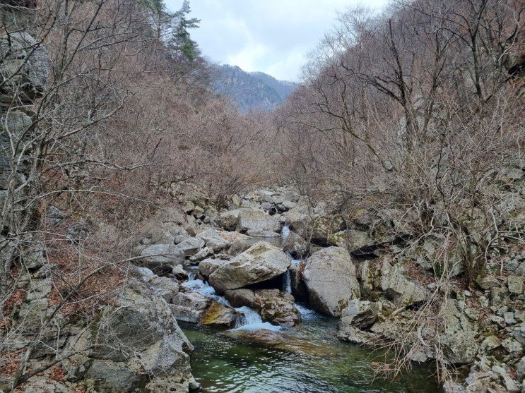  가평 유명산 자연휴양림 계곡 트레킹 숲 속 산책