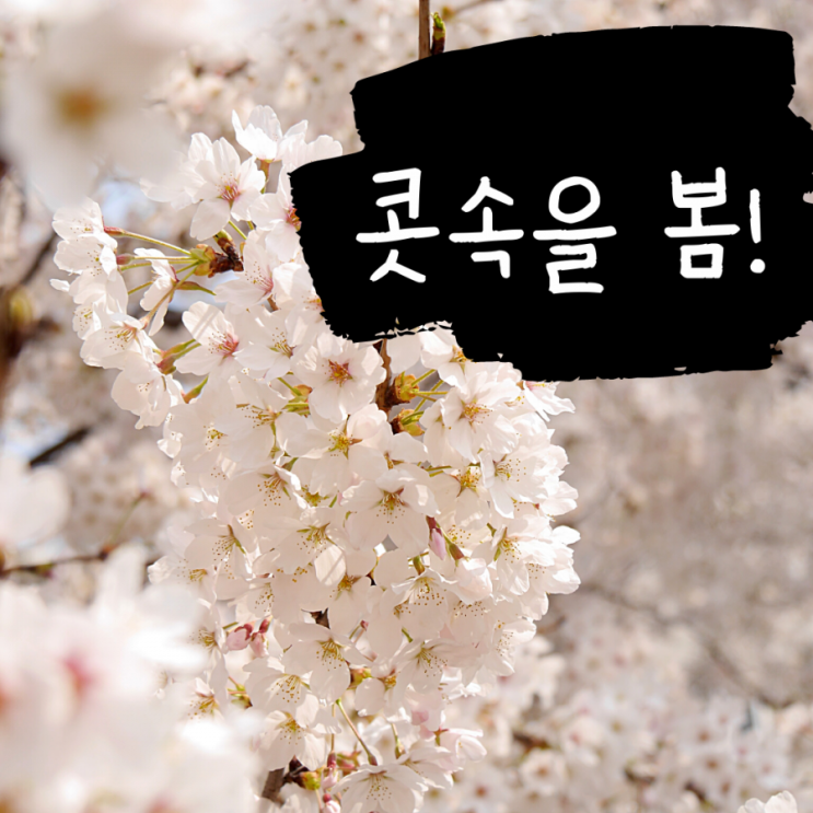  수원한의원 탱자한의원 아이 비염 사춘기 전에 고쳐주세요 얼굴변형 집중력 약해져