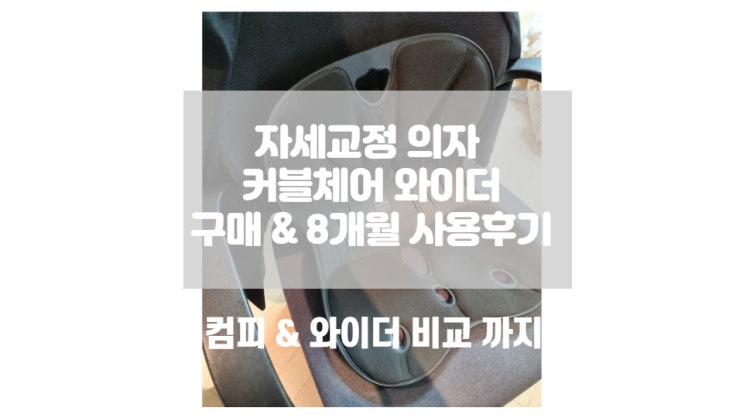  [구매& 8개월사용후기] 자세교정 의자 커블체어 와이더 컴피 단점