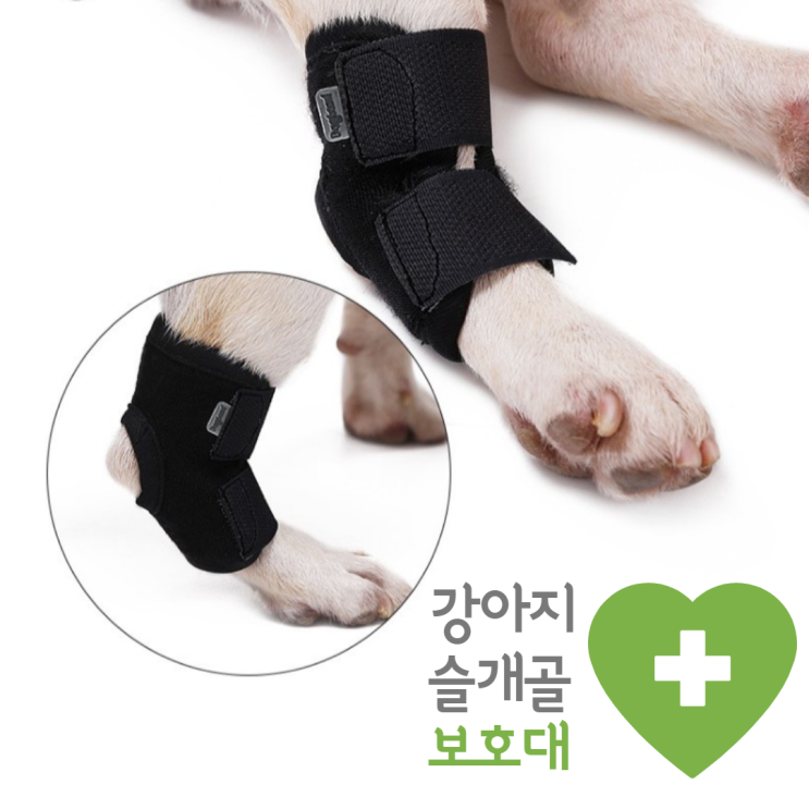 후기가 정말 좋은 BP 강아지 슬개골보호대 무릎 관절 보조기 소형견 다리 탈구 예방 하네스, Size 추천합니다 후기가 정말 좋은 BP 강아지 슬개골보호대 무릎 관절 보조기 소형견 다리 탈구 예방 하네스, Size 추천합니다