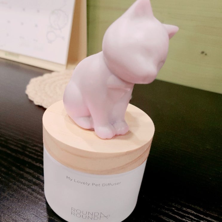  올리브영 디퓨저 추천 라운드어라운드 마이러블리펫디퓨저 선물 받은 후기~^^