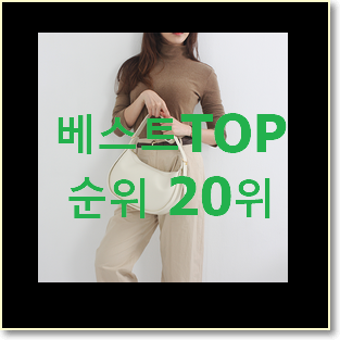  적인 구찌홀스빗 물건 인기 판매 순위 20위