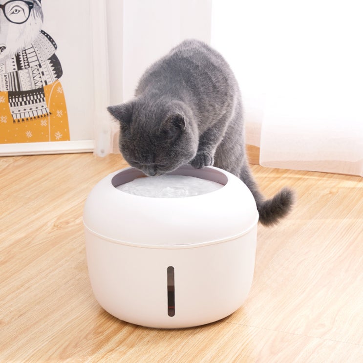 리뷰가 좋은 네이처펫 시리즈 고양이 정수기 2.5L, A200323-1, 화이트 추천합니다 리뷰가 좋은 네이처펫 시리즈 고양이 정수기 2.5L, A200323-1, 화이트 추천합니다