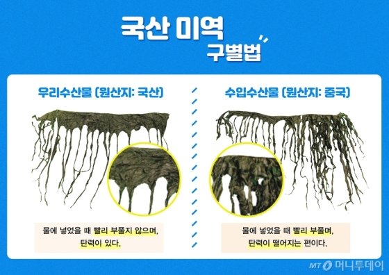  중국산미역 구별법과 미역고르는법