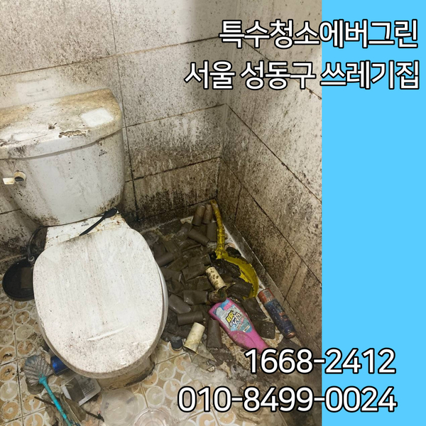 서울 성동구 특수청소 - 6평 원룸 쓰레기집 특수청소