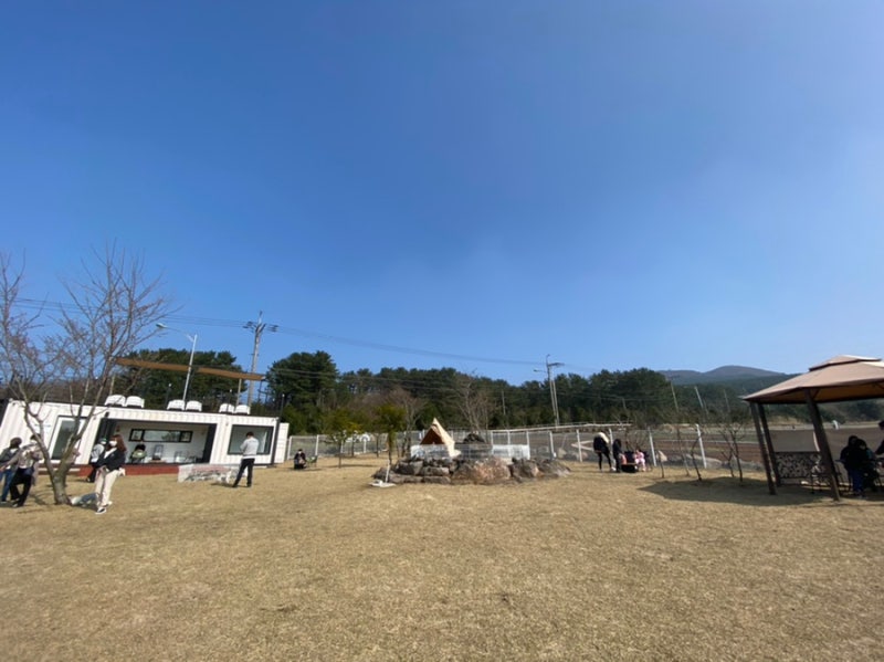 사진 2
