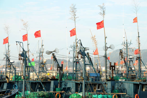 봄철이면 나타나는 불청객... 불법조업 중인 중국 어선 이틀째 연이어 나포