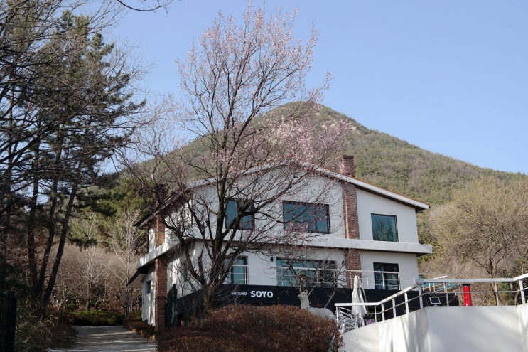  완주카페 - 전원카페 '그라운드 소요'