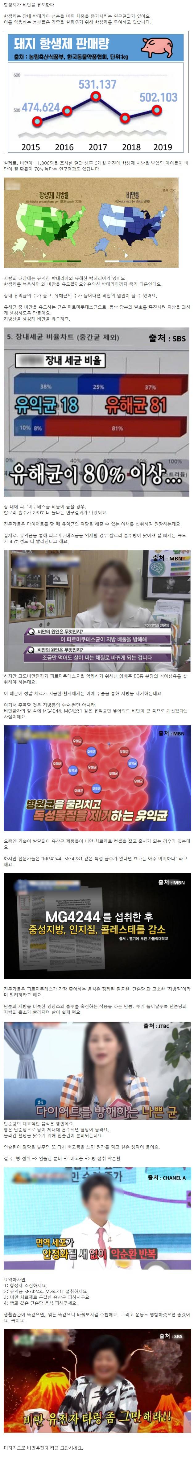  항생제가 비만을 유도한다