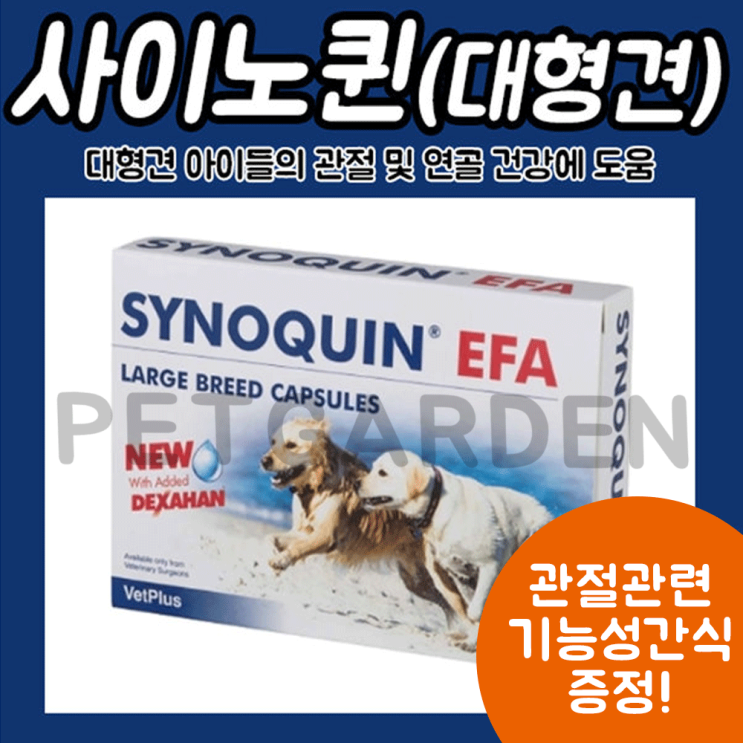 가성비 좋은 (사은품증정) 사이노퀸 라지 대형견 관절영양제 추천합니다 가성비 좋은 (사은품증정) 사이노퀸 라지 대형견 관절영양제 추천합니다