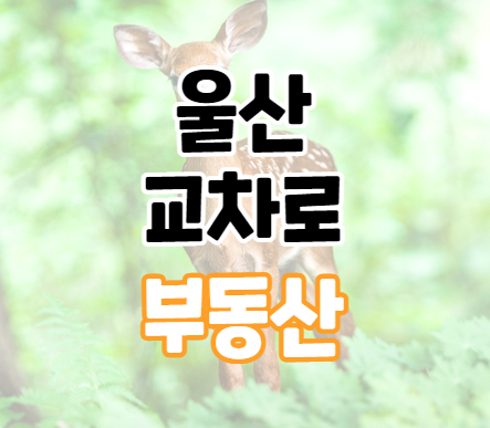 울산교차로 부동산 신문그대로보기