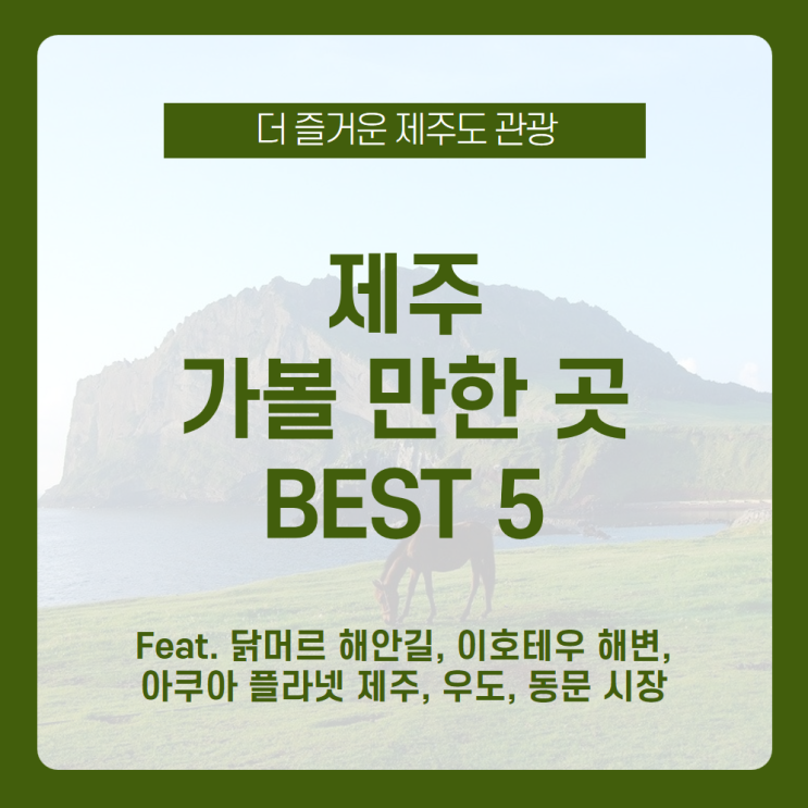  제주도 관광 꿀팁! 제주 가볼 만한 곳은 여기 다 모였다, 제주도 관광지 BEST 5 / 닭머르 해안길, 이호테우 해변, 아쿠아플라넷 제주, 우도, 동문시장 /1박2일 제주도