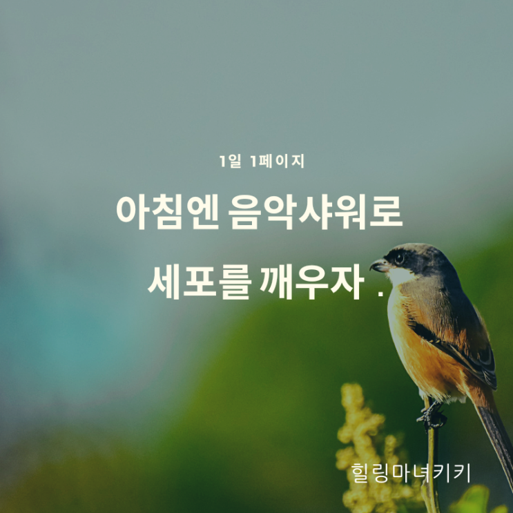  1일1페이지 ㅡ 04일 음악샤워로 세포를 깨우자