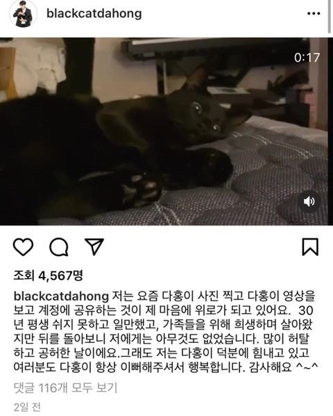  너무 선한 사람 박수홍과 반려묘 다홍이 결혼하지 못한 진짜 속사정 너무 가까운 인간관계에서 상처받은