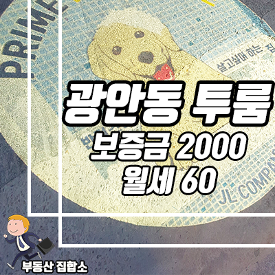 수영구 반려동물 특화설계 투룸, 광안동 프라임펫하우스 월세입니다. 수영구 반려동물 특화설계 투룸, 광안동 프라임펫하우스 월세입니다.