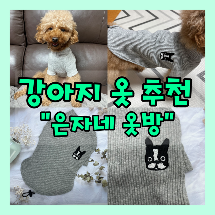  심플하고 예쁜 강아지 옷 추천 "은자네옷방"