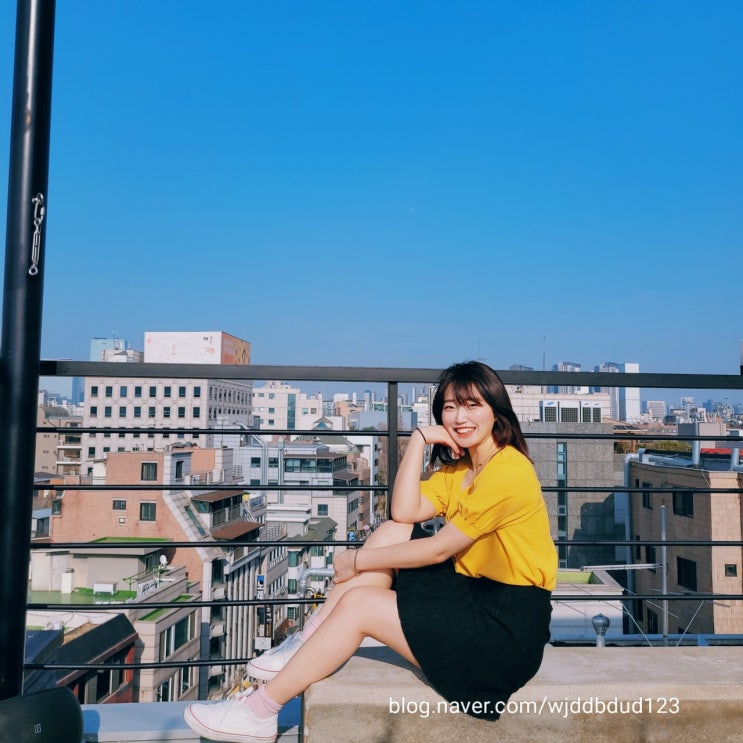  교대 핫플카페 루프탑이 있는 애견동반카페 공미학