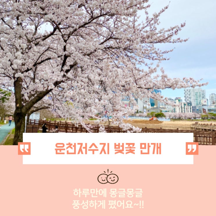 무료아이콘사이트 -플랫아이콘! 아이콘파인더(벚꽃은 덤!)