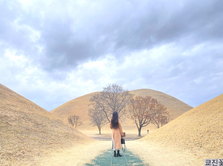  [경주 가볼만한곳] 대릉원(천마총) 목련꽃 포토존 위치, 경주 벚꽃 명소 추천! 사진찍기좋은곳