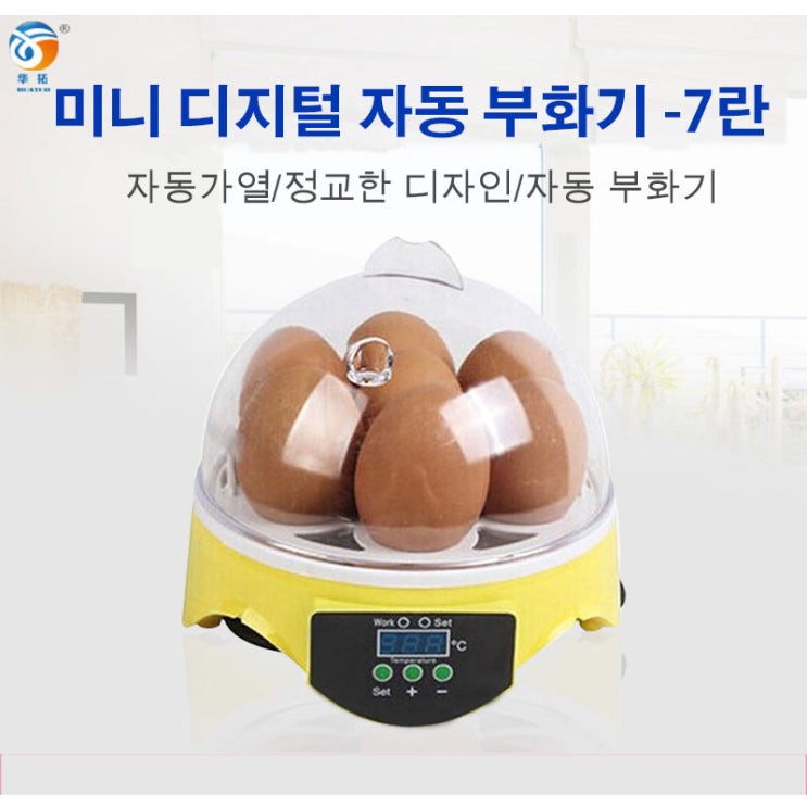 선호도 높은 정선품샵 계란부화기 자동부화기 병아리 조류 부화기 7알 12알 32알 48알 56알 ··· 선호도 높은 정선품샵 계란부화기 자동부화기 병아리 조류 부화기 7알 12알 32알 48알 56알 ···