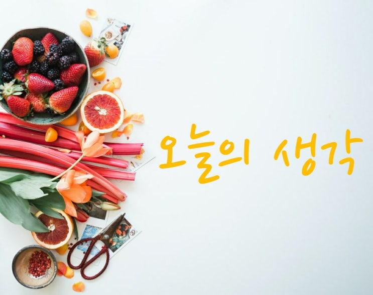  [오늘의 생각] 16