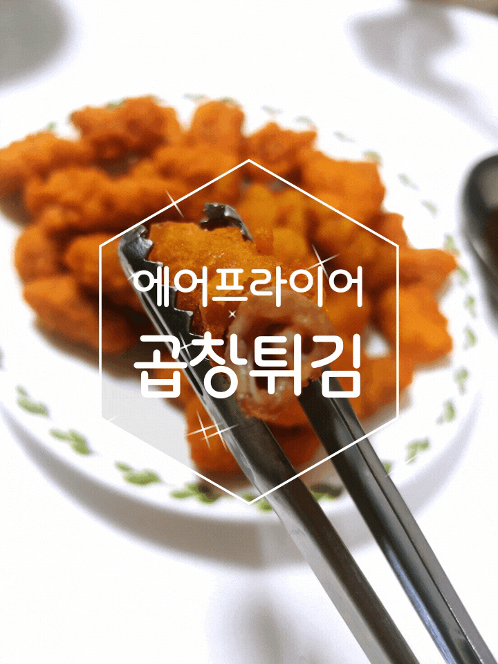  바삭한 식감 에어프라이어 푸딩팩토리 곱창튀김