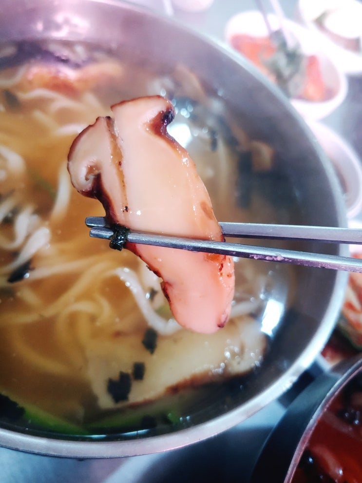 양양 오일장맛집 봄날은간다 송이칼국수, 장칼국수, 제철산나물전 양양 오일장맛집 봄날은간다 송이칼국수, 장칼국수, 제철산나물전
