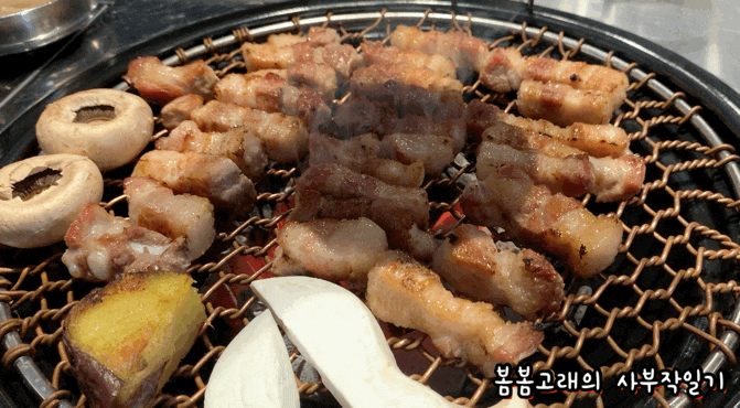  비 오는 날 삼겹살도 좋죠? 송도 고기 맛집에서 삼겹살에 막걸리 한 잔, 단지집