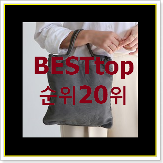 입소문탄 디올백 꿀템 베스트 랭킹 TOP 20위