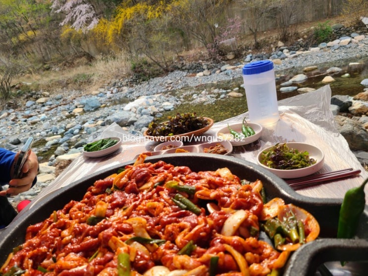  [내돈내먹/솔직리뷰/울산 울주군 밥집] 작천정 벚꽃 맛집/오리고기 맛집/ 작천정 '명성종가집'