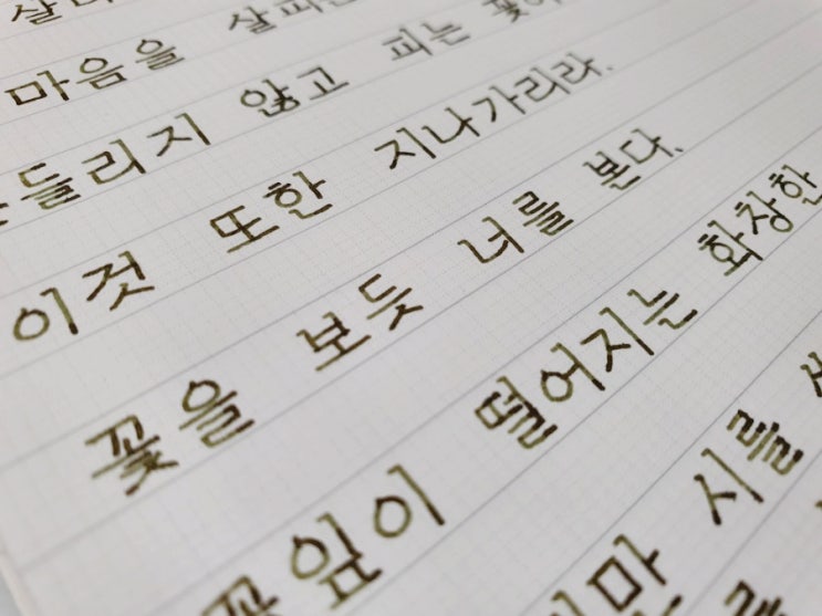  미꽃체 손글씨 캘리그라피 - 마음을 다독이는 여러 글귀 쓰기