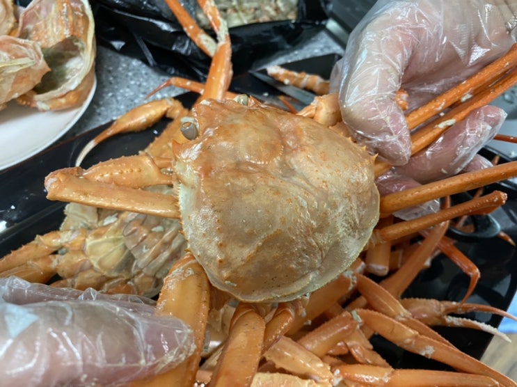 마이홈 이즈 홍게 맛집_산지직송, 후포리홍게, 홍게주문, 연지홍게, 박달홍게, 홍게철, 홍게맛집, 농라카페 마이홈 이즈 홍게 맛집_산지직송, 후포리홍게, 홍게주문, 연지홍게, 박달홍게, 홍게철, 홍게맛집, 농라카페