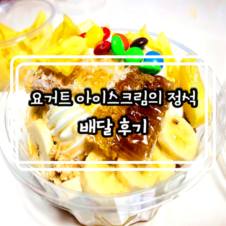 디저트 배달 맛집)요거트 아이스크림의 정석 김포구래점  그냥 대존맛!!