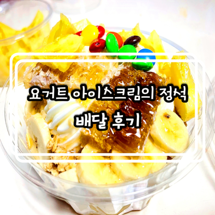  디저트 배달 맛집)요거트 아이스크림의 정석 김포구래점  그냥 대존맛!!
