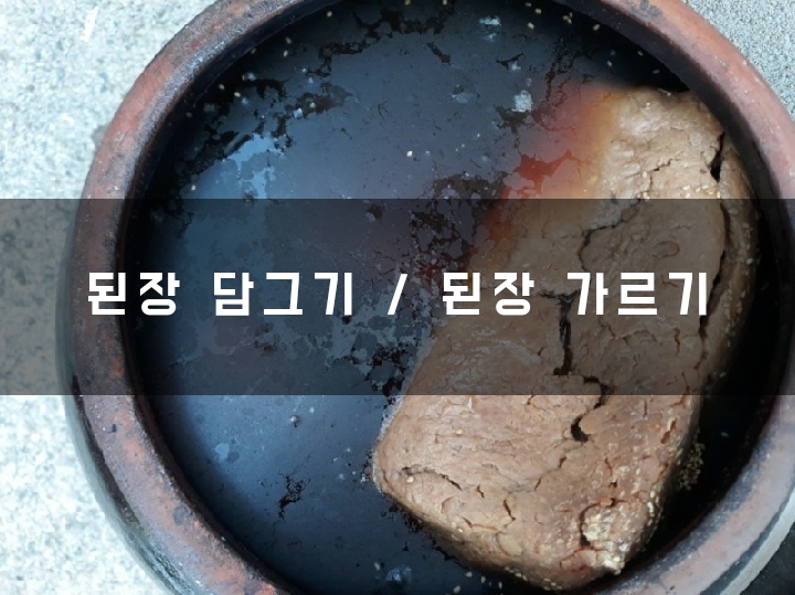  숙성된 메주로 된장 담그는 법  / 된장 가르기