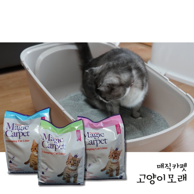  고양이를 위한 벤토나이트모래 매직카펫 고양이모래