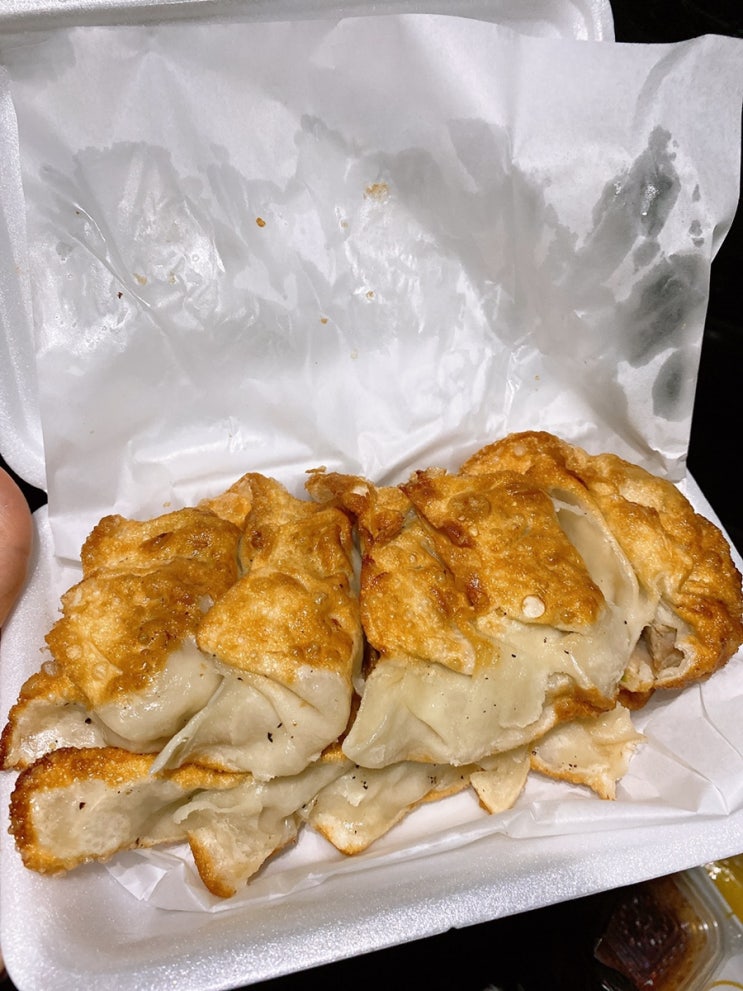  반월당역 태산만두 군만두 포장  여전한 만두 맛집 ️