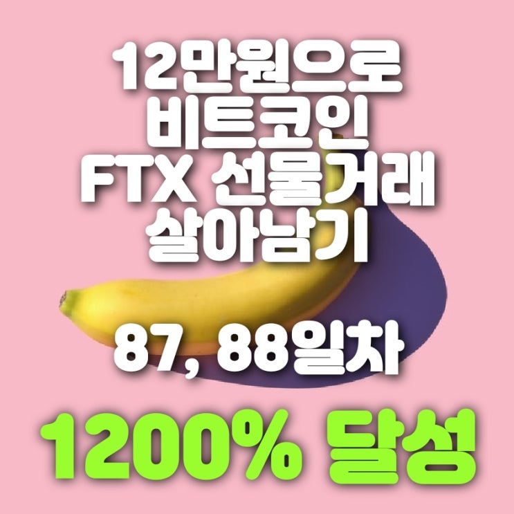 비트코인 FTX 마진거래 87, 88일차 (1200% 수익 달성!!)